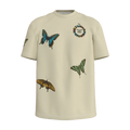 Metamorphosis