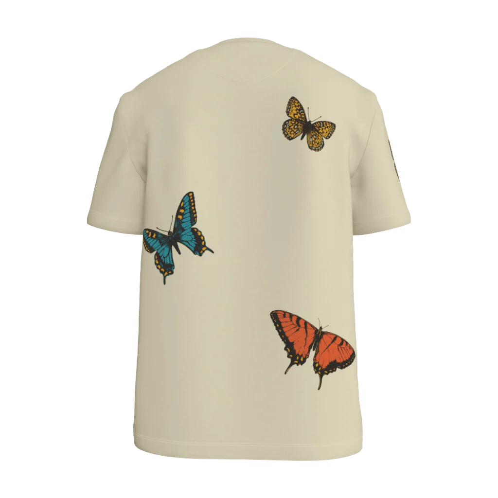 Metamorphosis